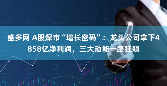 盛多网 A股深市“增长密码”：龙头公司拿下4858亿净利润，三大动能一路狂飙