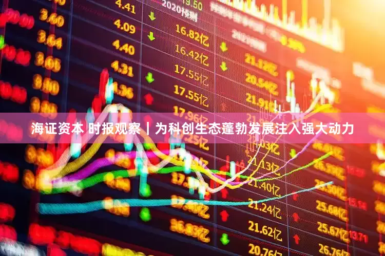 海证资本 时报观察｜为科创生态蓬勃发展注入强大动力