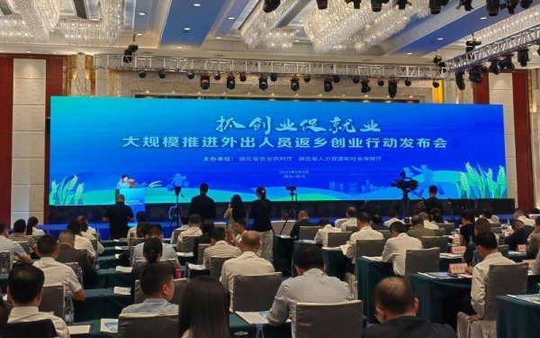 一直牛配资 湖北“归雁经济”迸发新活力