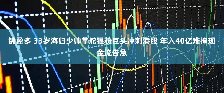 锦盈多 33岁海归少帅掌舵银粉巨头冲刺港股 年入40亿难掩现金流告急