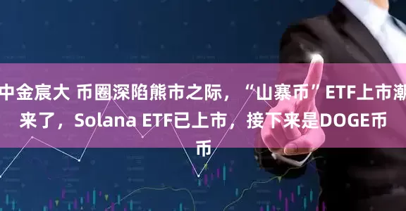中金宸大 币圈深陷熊市之际，“山寨币”ETF上市潮来了，Solana ETF已上市，接下来是DOGE币