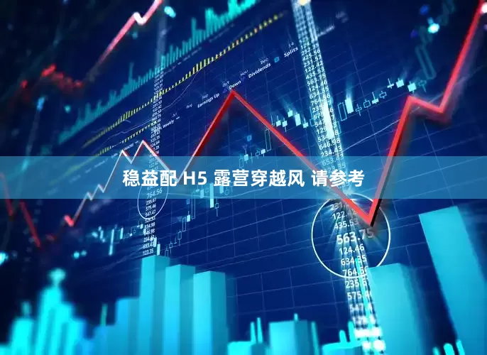 稳益配 H5 露营穿越风 请参考
